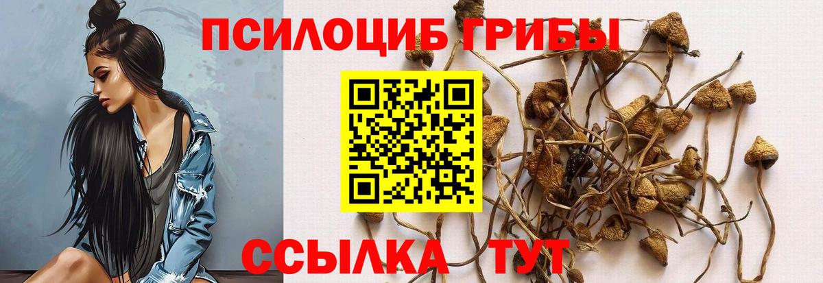 Псилоцибиновые грибы Magic Shrooms Чебаркуль