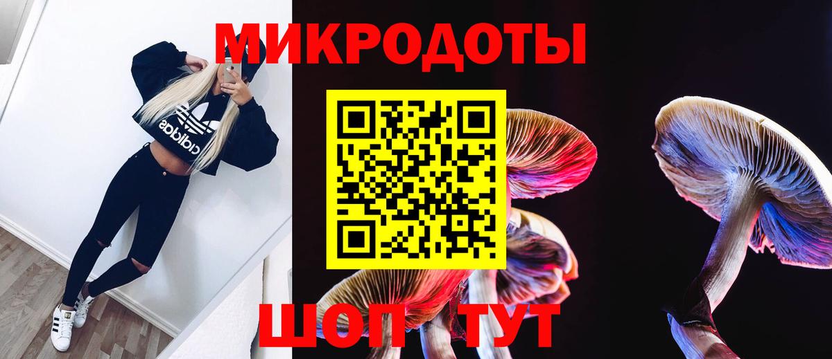 Псилоцибиновые грибы GOLDEN TEACHER  Вход с VPN  Галлюциногенные грибы MAGIC MUSHROOMS  Чебаркуль 